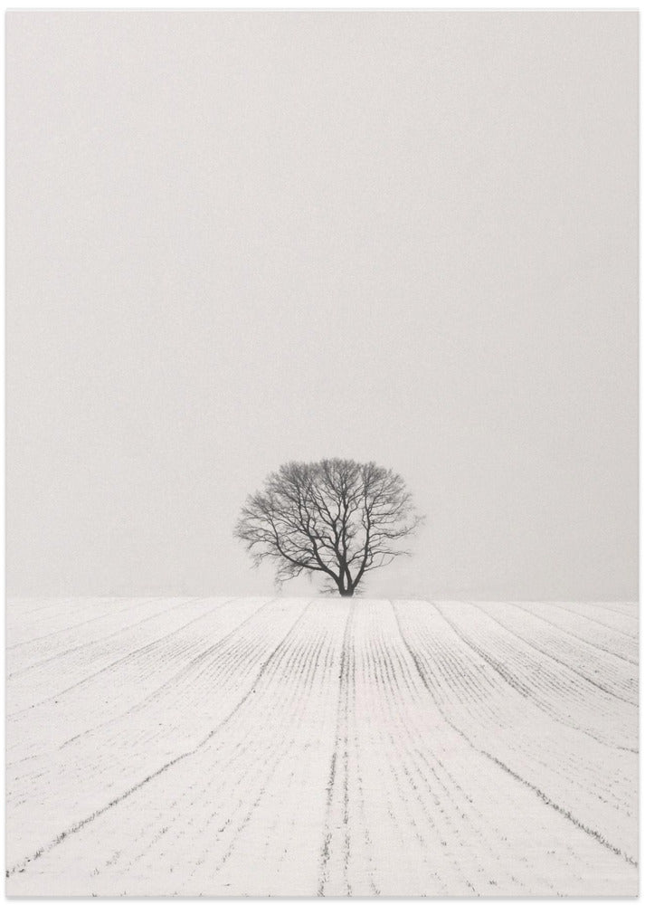 White Desert