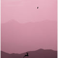 Art Prints of 真实世界