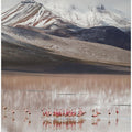 mountain view (Bolivia)