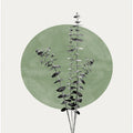 Eucalyptus and Green Moon