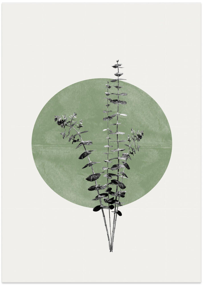 Eucalyptus and Green Moon