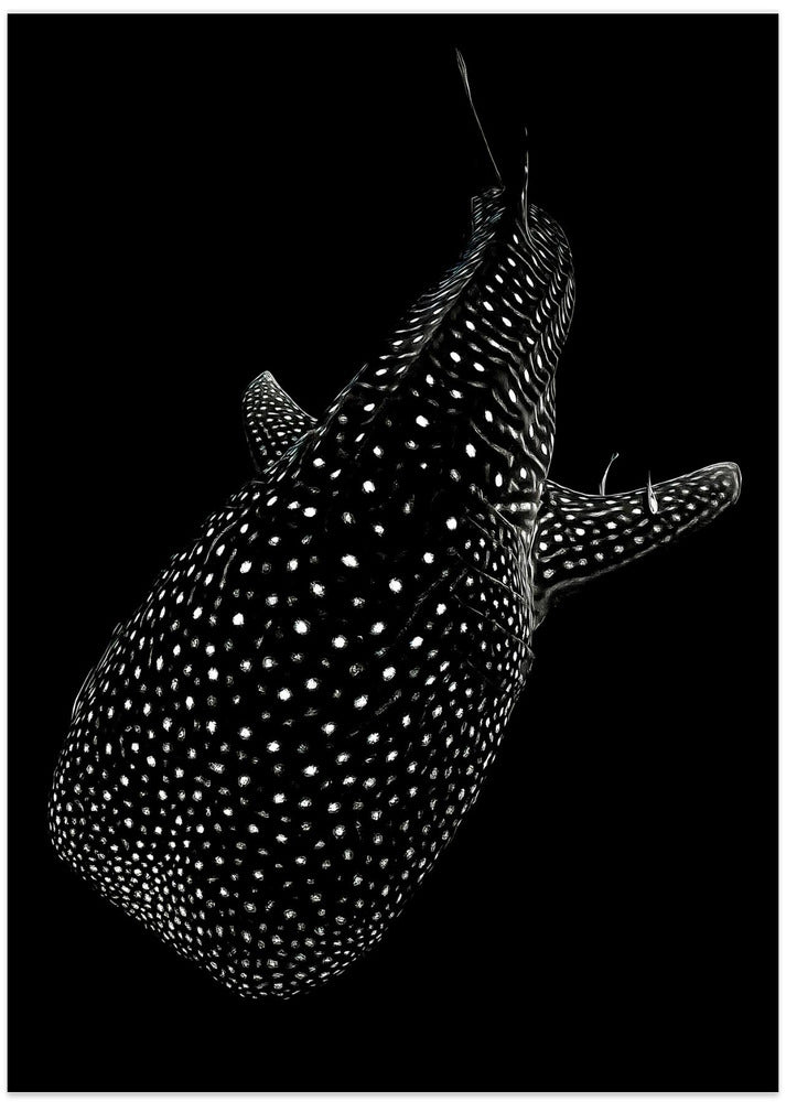 Spotted sea