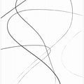 Art Prints of Loose Lines