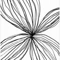 Flowerina 2