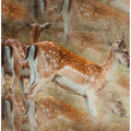 Art Prints of Multiply