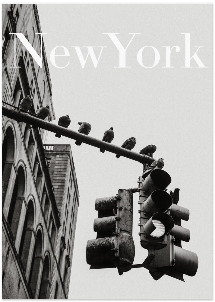 NYC Doves