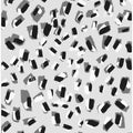Monochrome Chaos