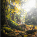 Canvas Art Print A fawn in the autumn forest