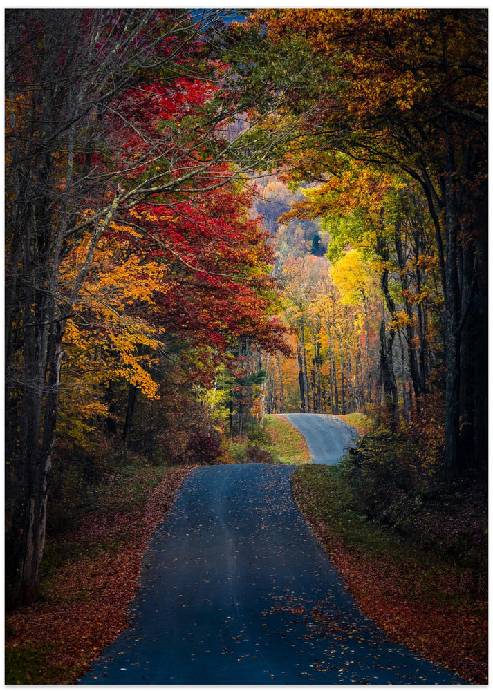 Autumn colors