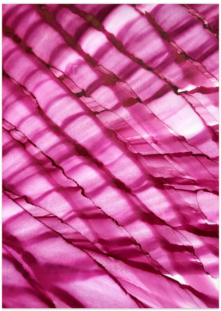 Raspberry Ripple