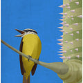 Canvas Art Print Benteveo