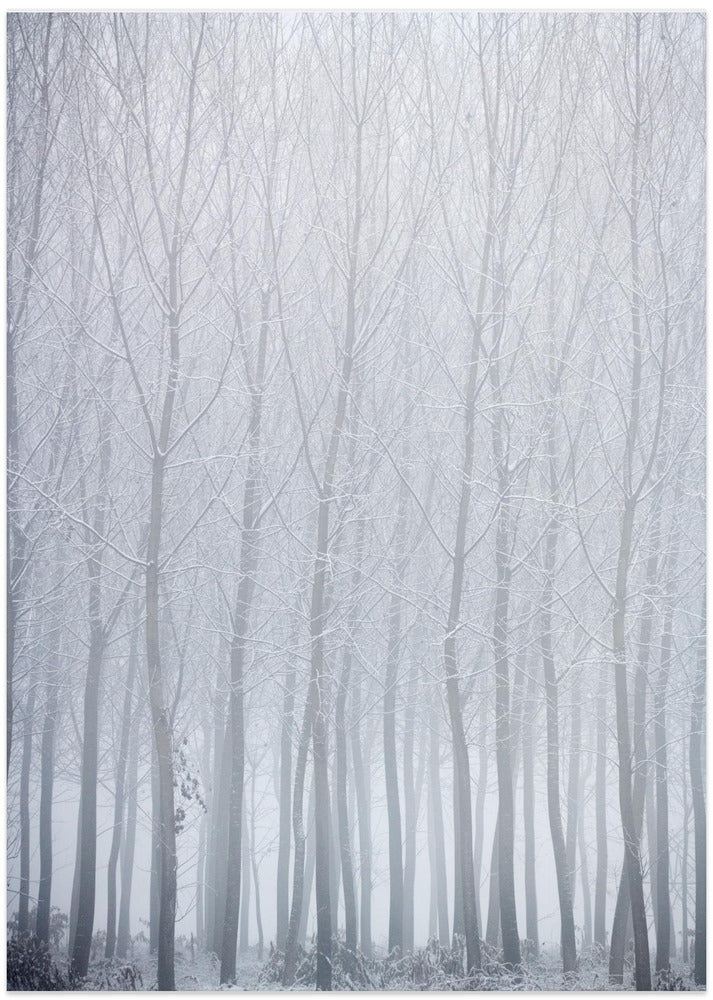 Long trees