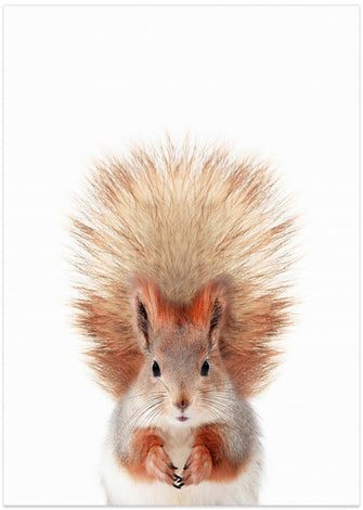 Canvas Art Print Baby Squirel