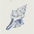 Art Prints of Filles de la mer n.2 - La conchiglia