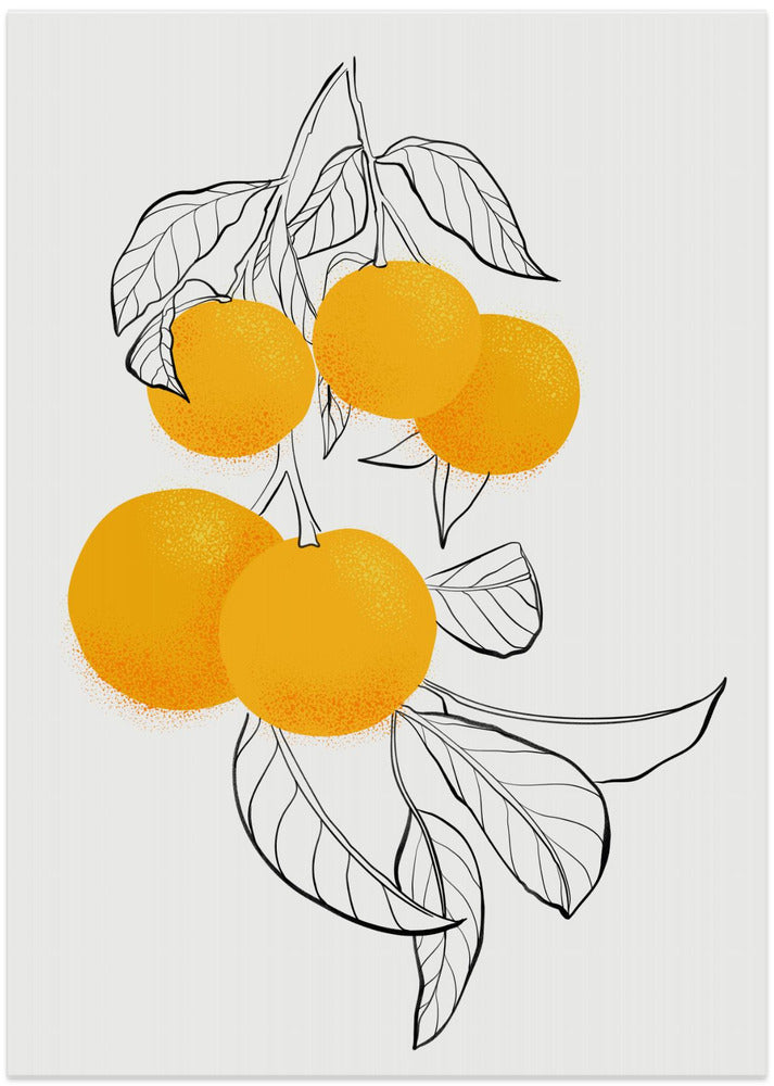Mabel oranges