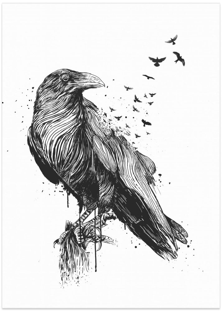 Born to be free
