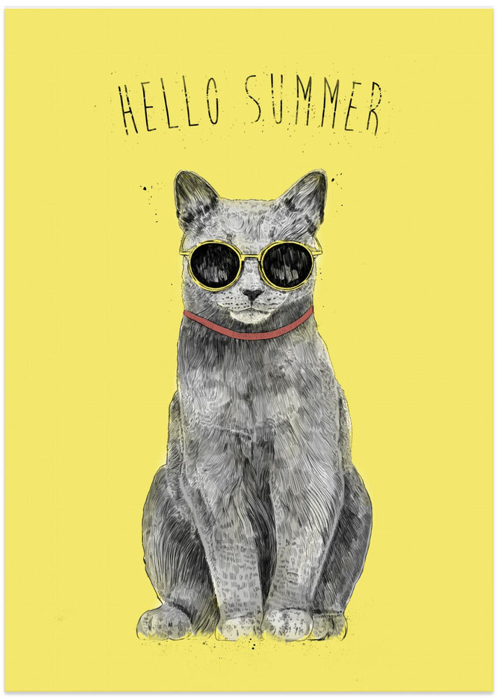 Hello Summer