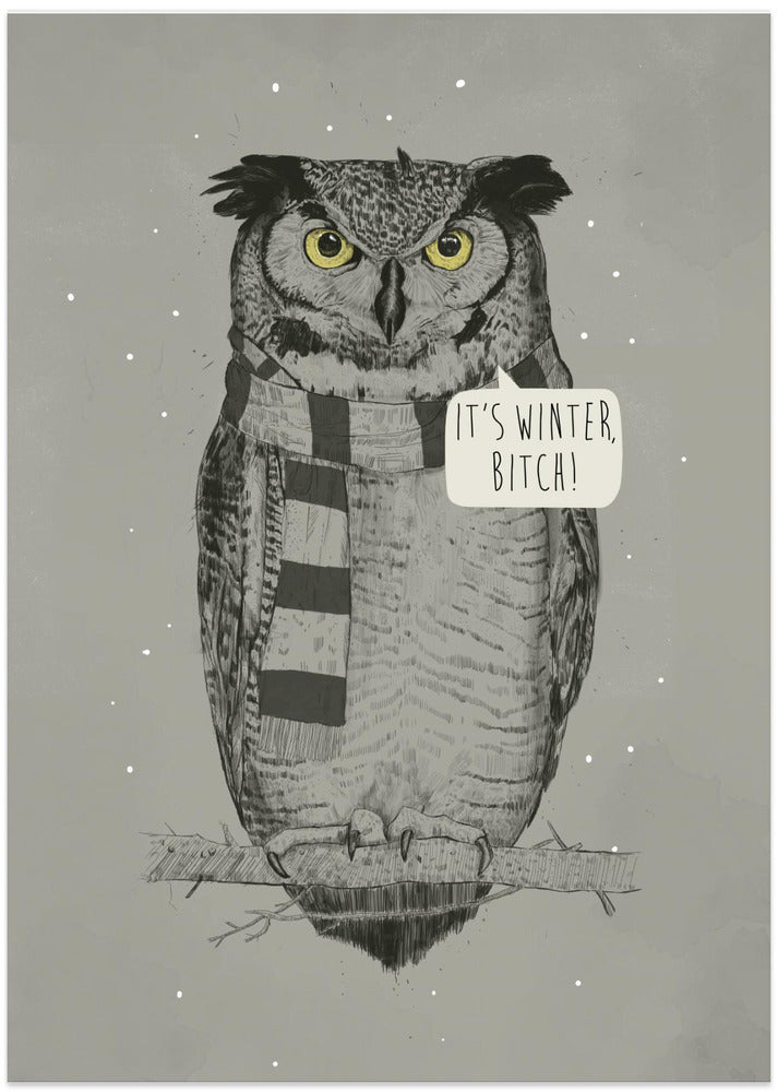It's winter, bitch!