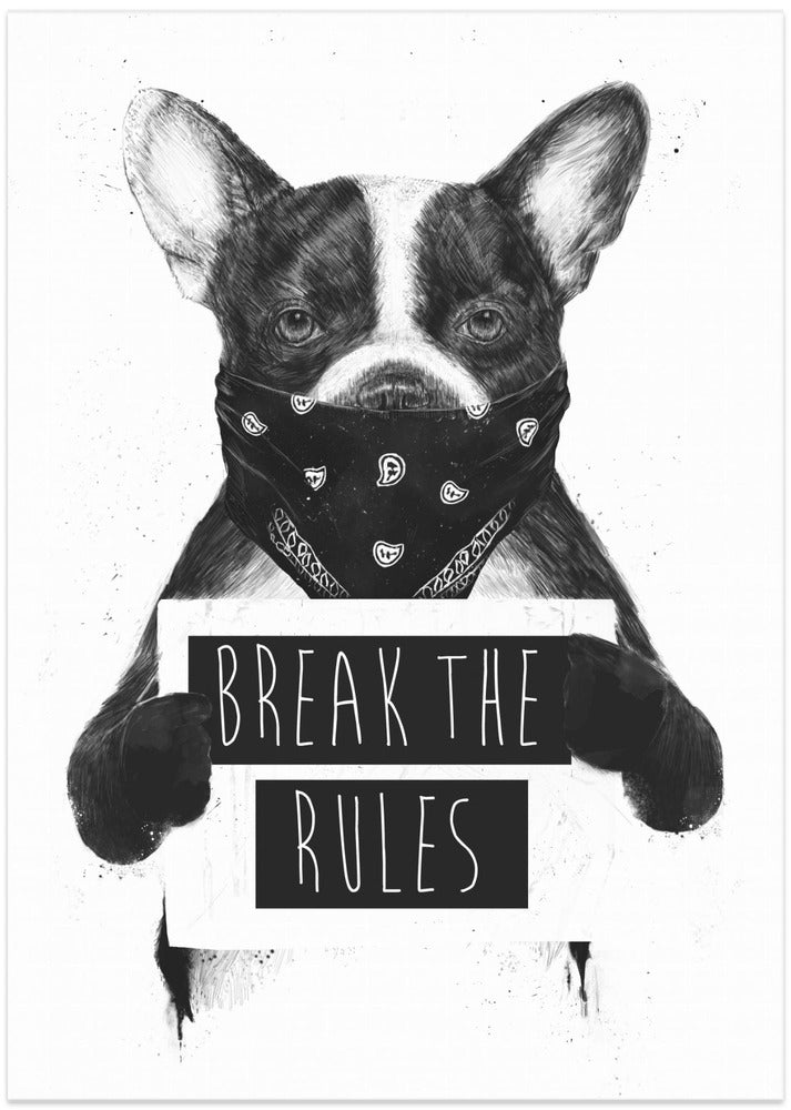 Rebel dog