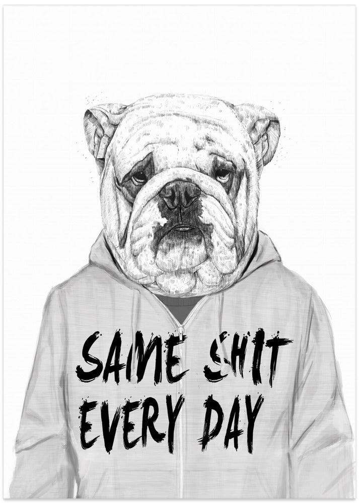 Same shit...