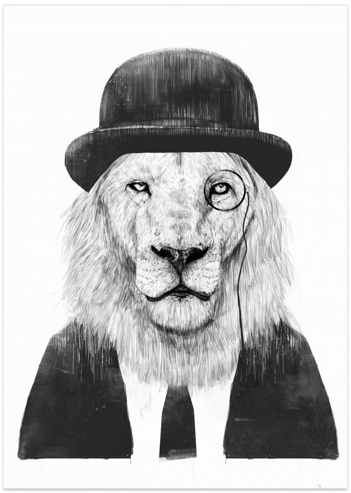 Sir Lion