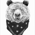 Wild bear
