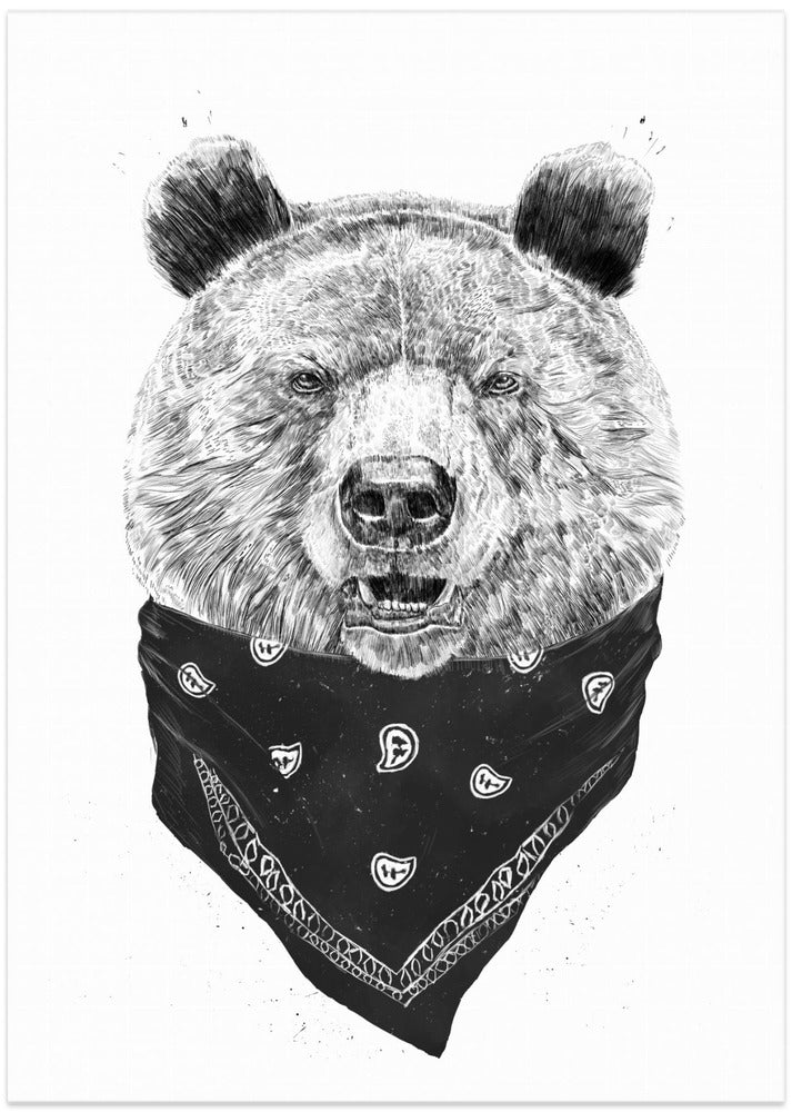 Wild bear