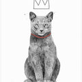 King of everything