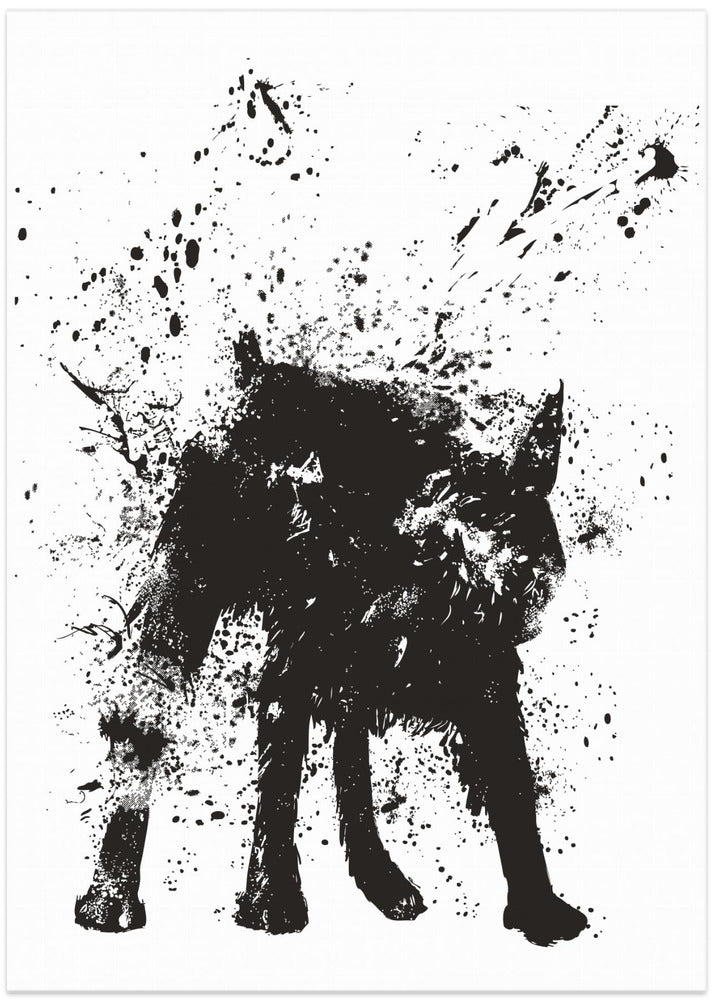 Wet dog