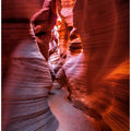 The curves and colors of nature