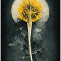 Celestial Bloom