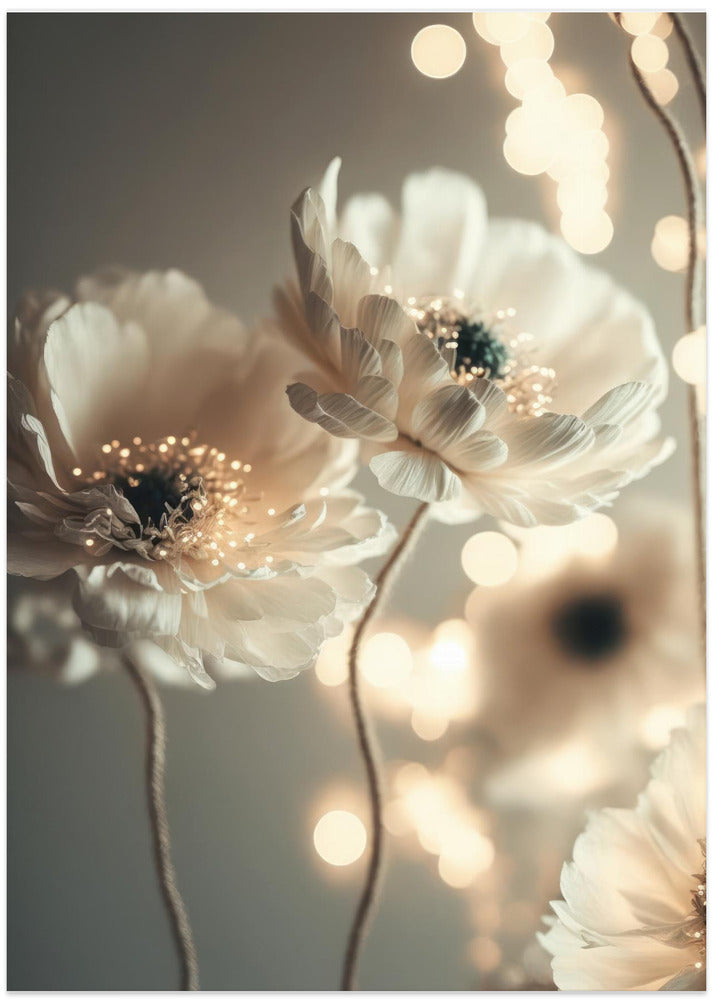 Petals and Glow