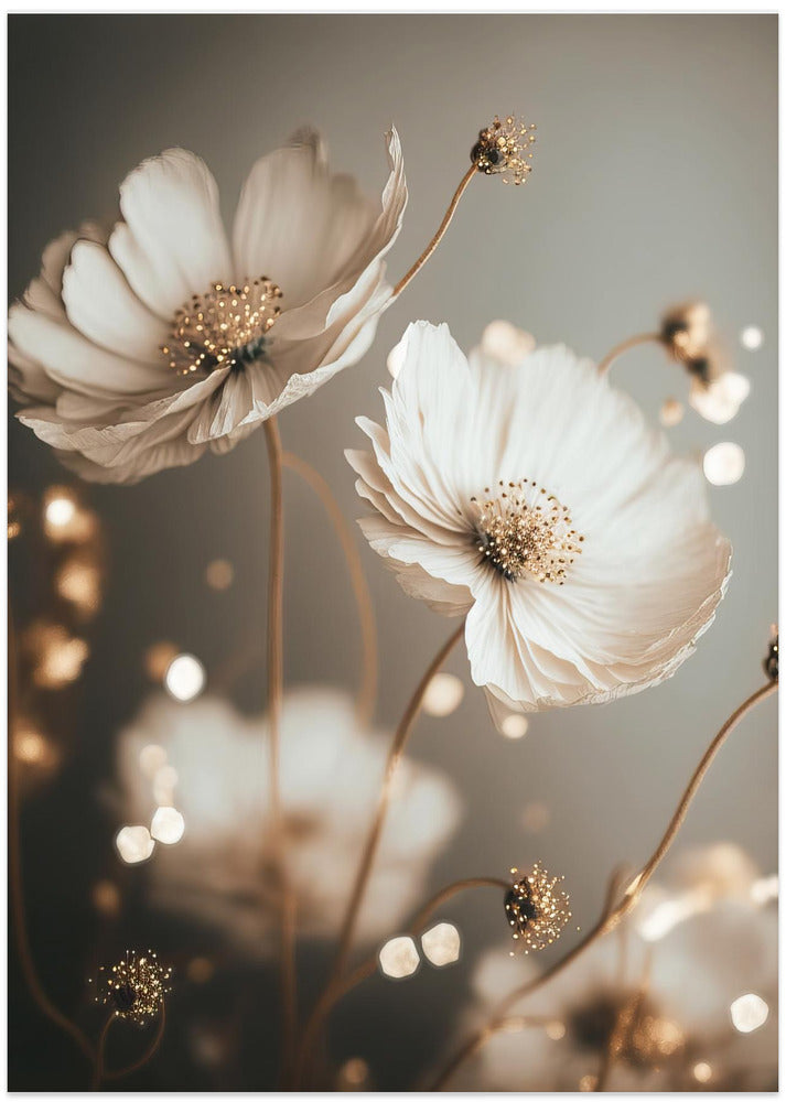 Petal Glow