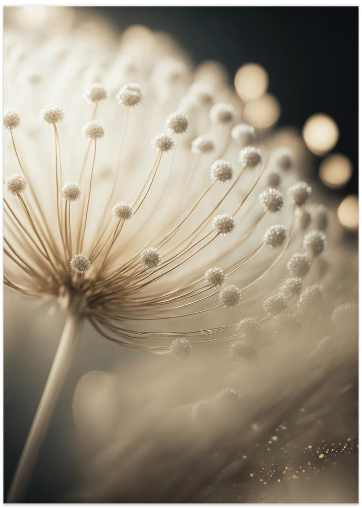 Whispering Seeds