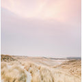 Ameland Dunes 1