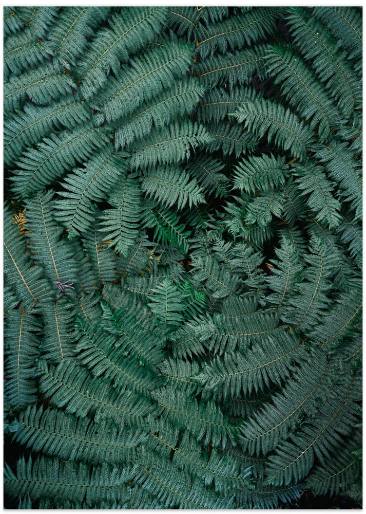 Green Leaves