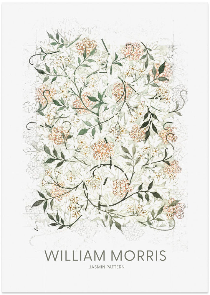 Jasmine