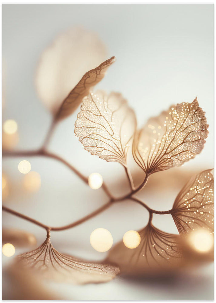 Fragile Elegance