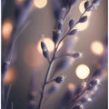Dreamy Lavender Hues