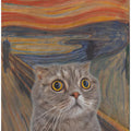 The Meow 03