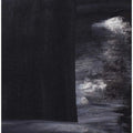 Moonlit Shadows