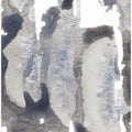 Monochromatic Palette Of Grays And Whites