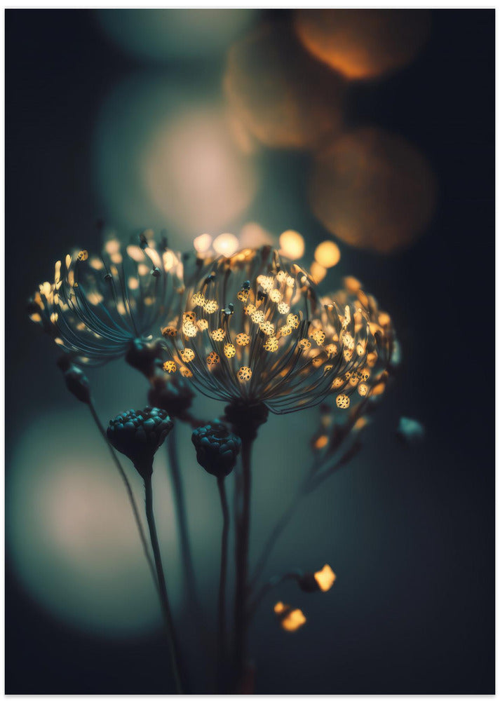 Enchanted Blossoms