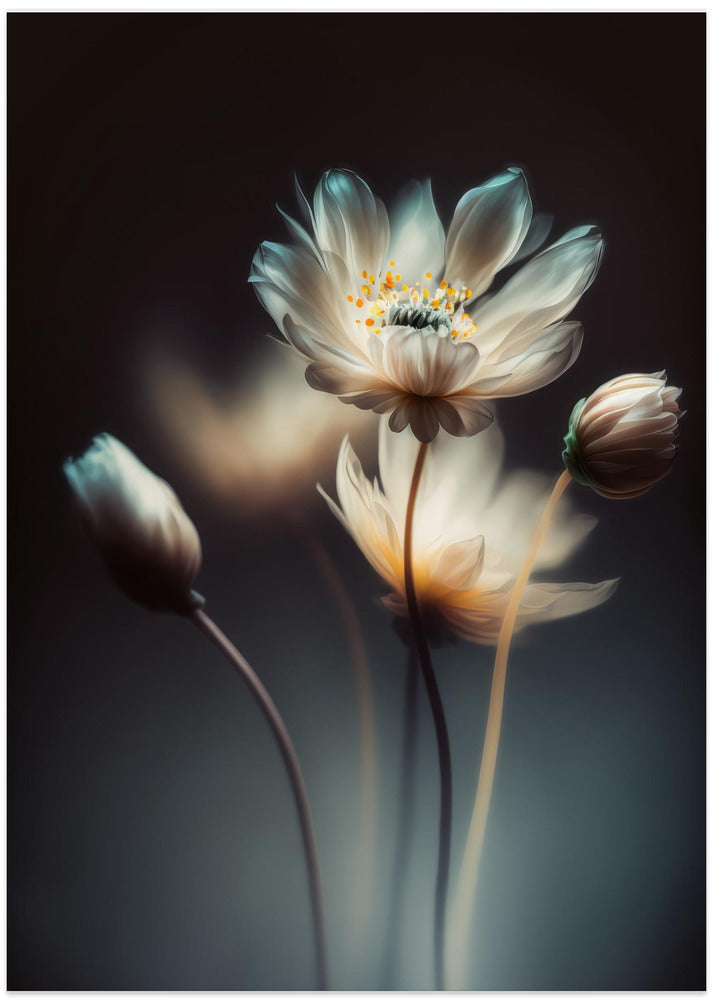 Ethereal Blossoms