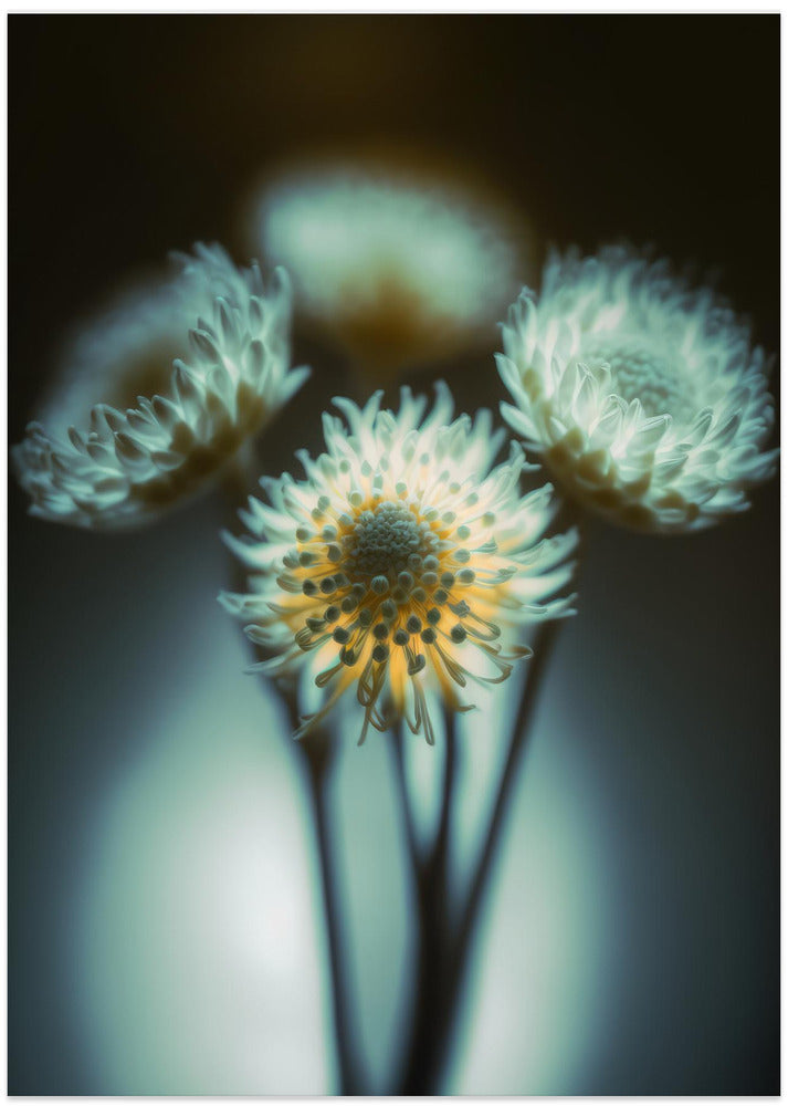 Ethereal Blooms