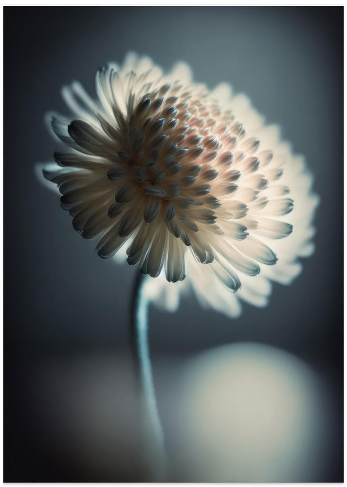 Luminous Blossom