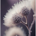 Ethereal Blooms