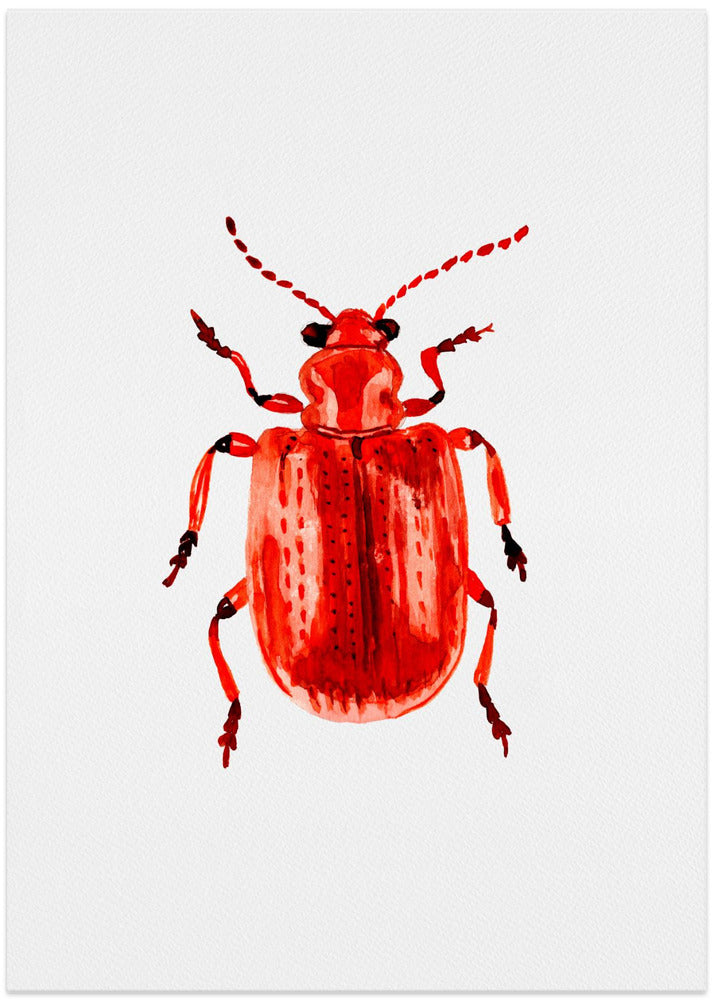 Onion beetle or Lilioceris merdigera