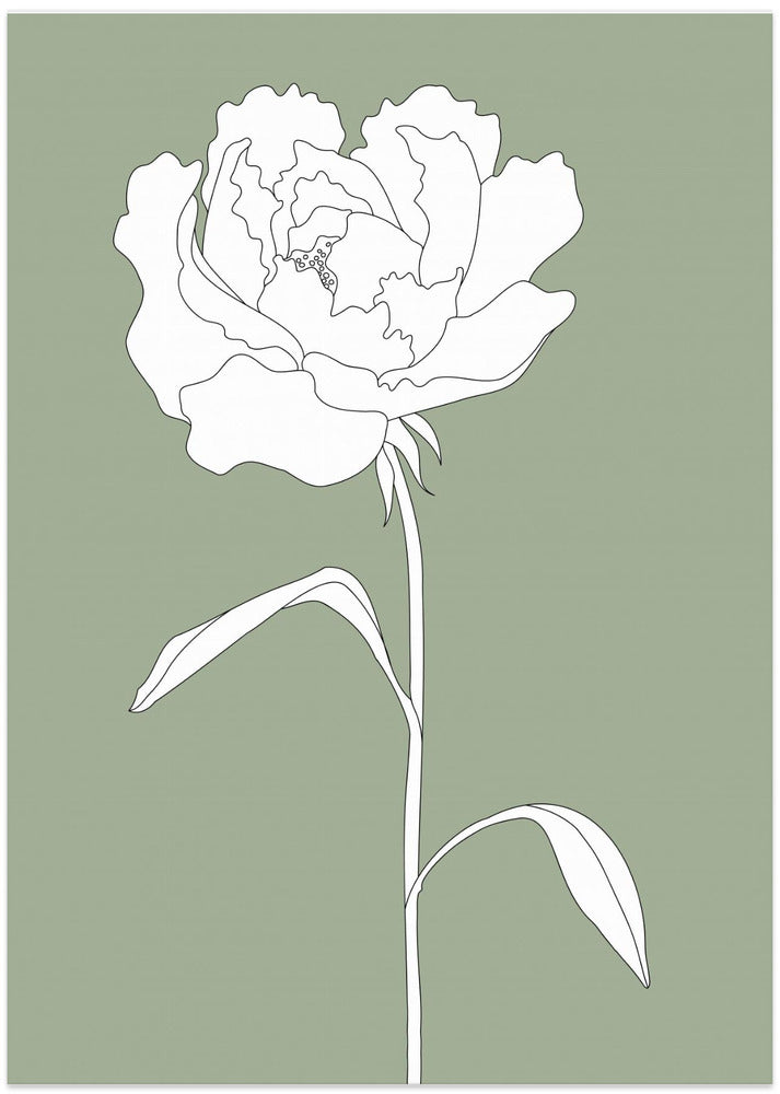 Rose in Green