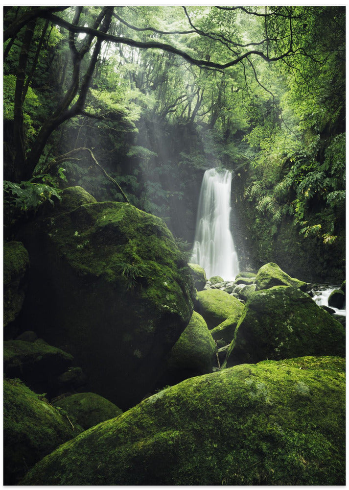Mystic Falls